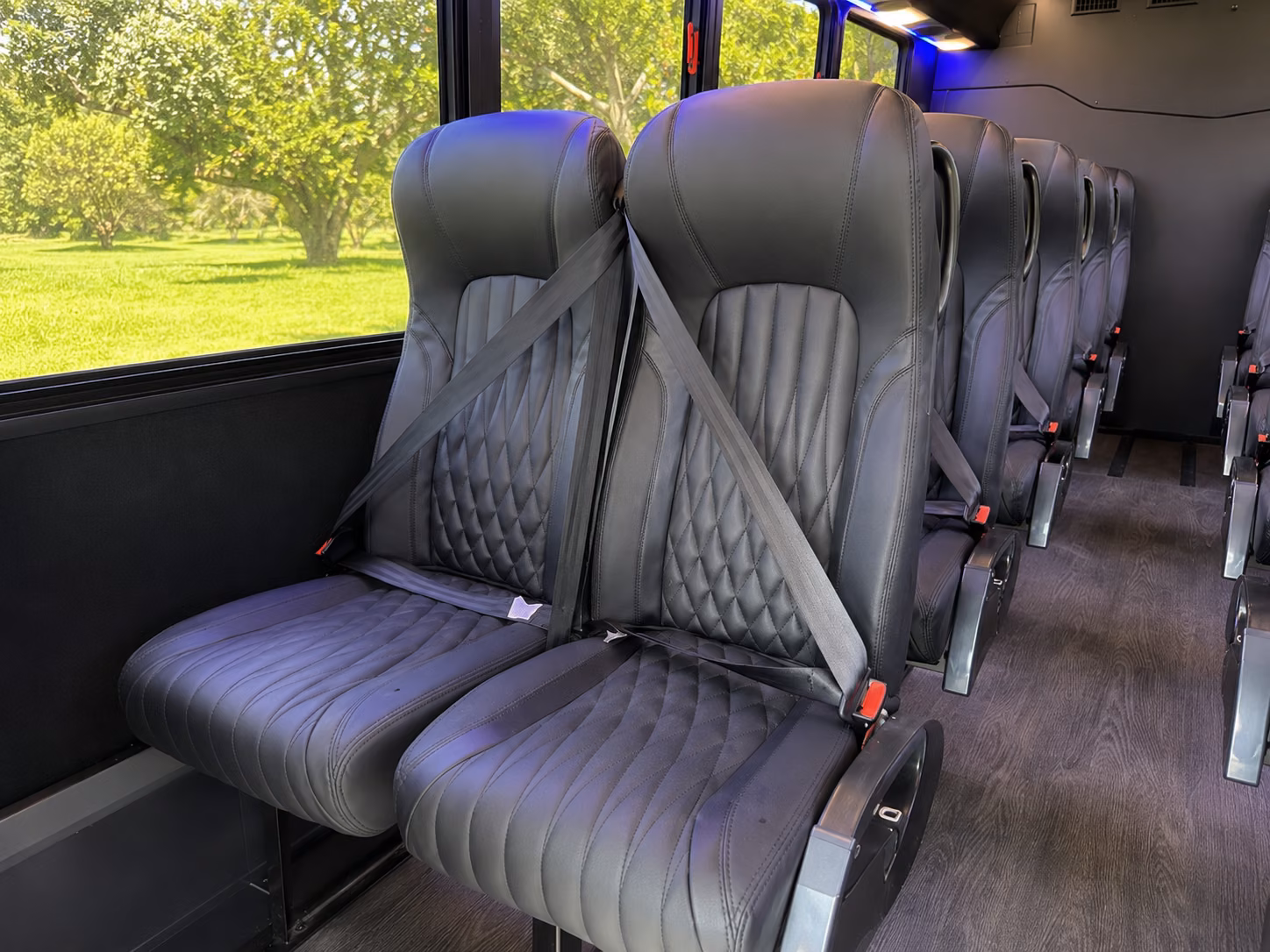 minibuses and charter buses to the exploratorium and california academy of sciences